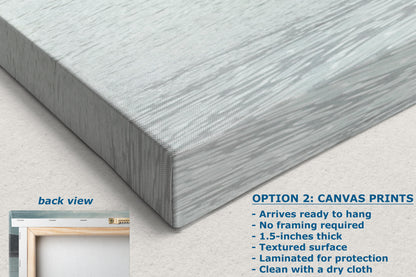 Humpback Whale Marine Mammal Wildlife Photography, Ocean Nature Art, Marine Conservation, Dolphin & Sea Life Gift, House Decor