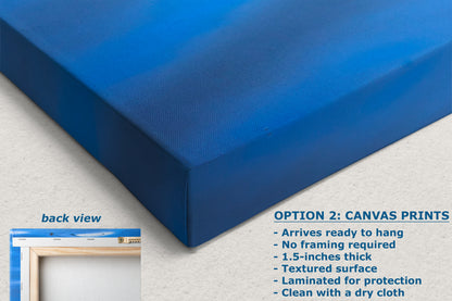 Sea Otter Picture Marine Mammal Wildlife Photography, Ocean Wall Art, Dorm Room Decor, Relaxation Artwork, Cubicle Desk Decor