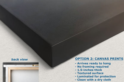 US Airforce Thunderbirds F-16 Fighting Falcon Aviation Artwork | Military Aviation Decor for Home & Office Display