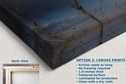 Soaring Bald Eagle Picture Wildlife Photography Wall Art, Nature Photo, Bird Photography, Rustic Cabin Decor, Office or Dorm Room Wall Decor