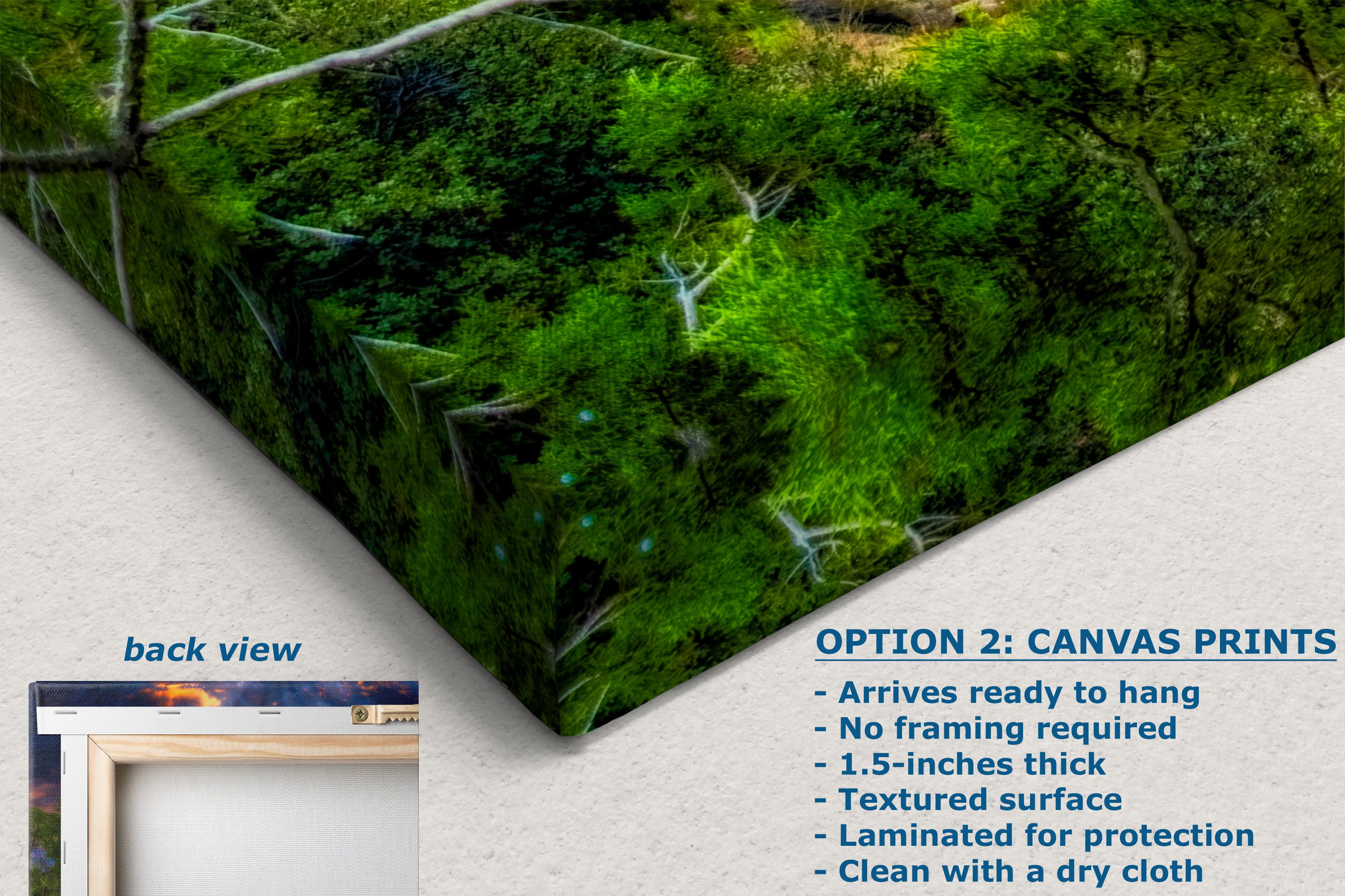 Zion National Park Art, Watchman Mountain Southwestern Desert Picture