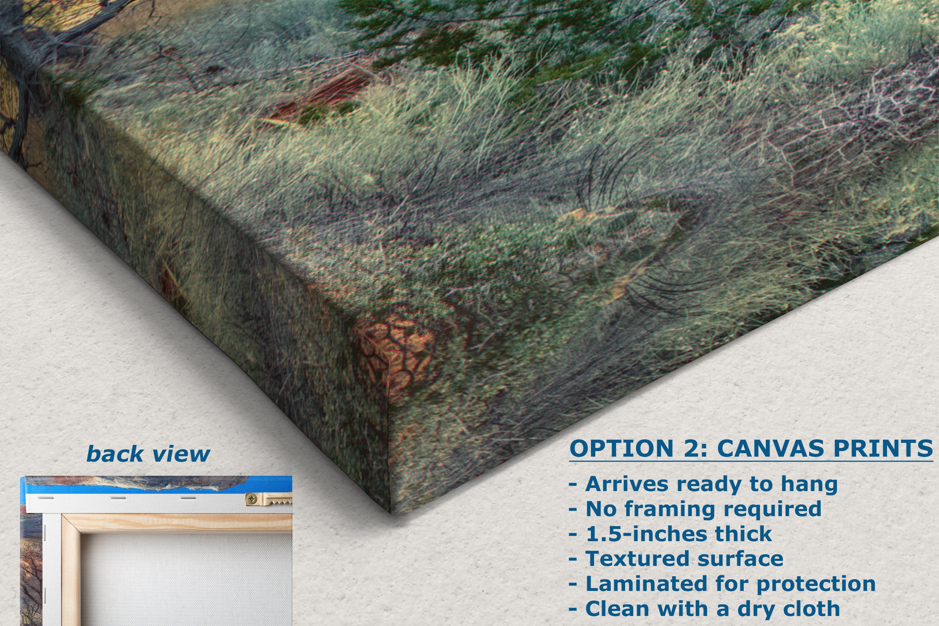 Zion National Park Southern Utah Desert Picture, Southwestern Wall Art, Relaxation Artwork Nature Photo for House Decor