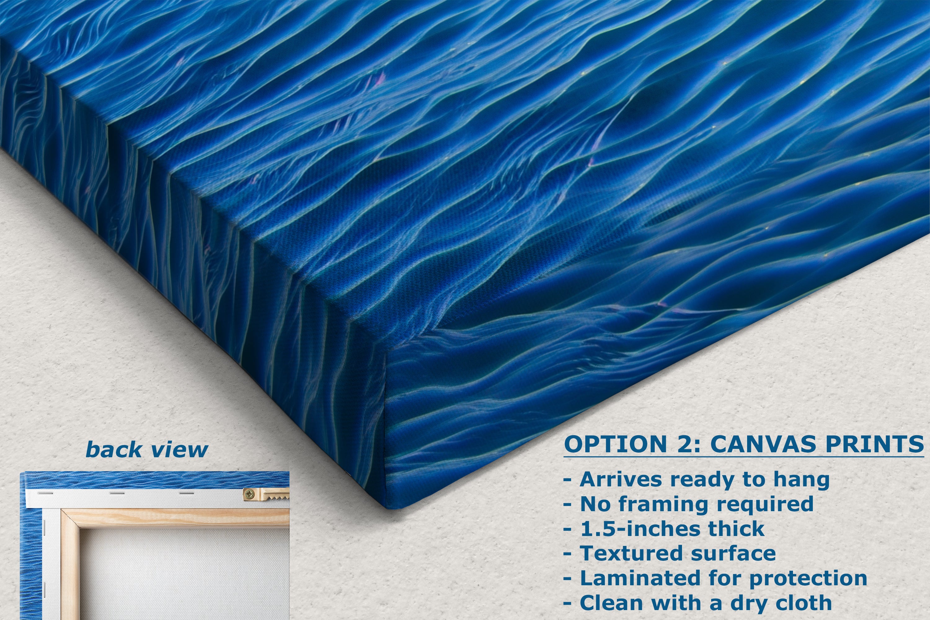 Seal Print Marine Mammal Wildlife Photography, Ocean Picture Relaxation Artwork Nature Photo