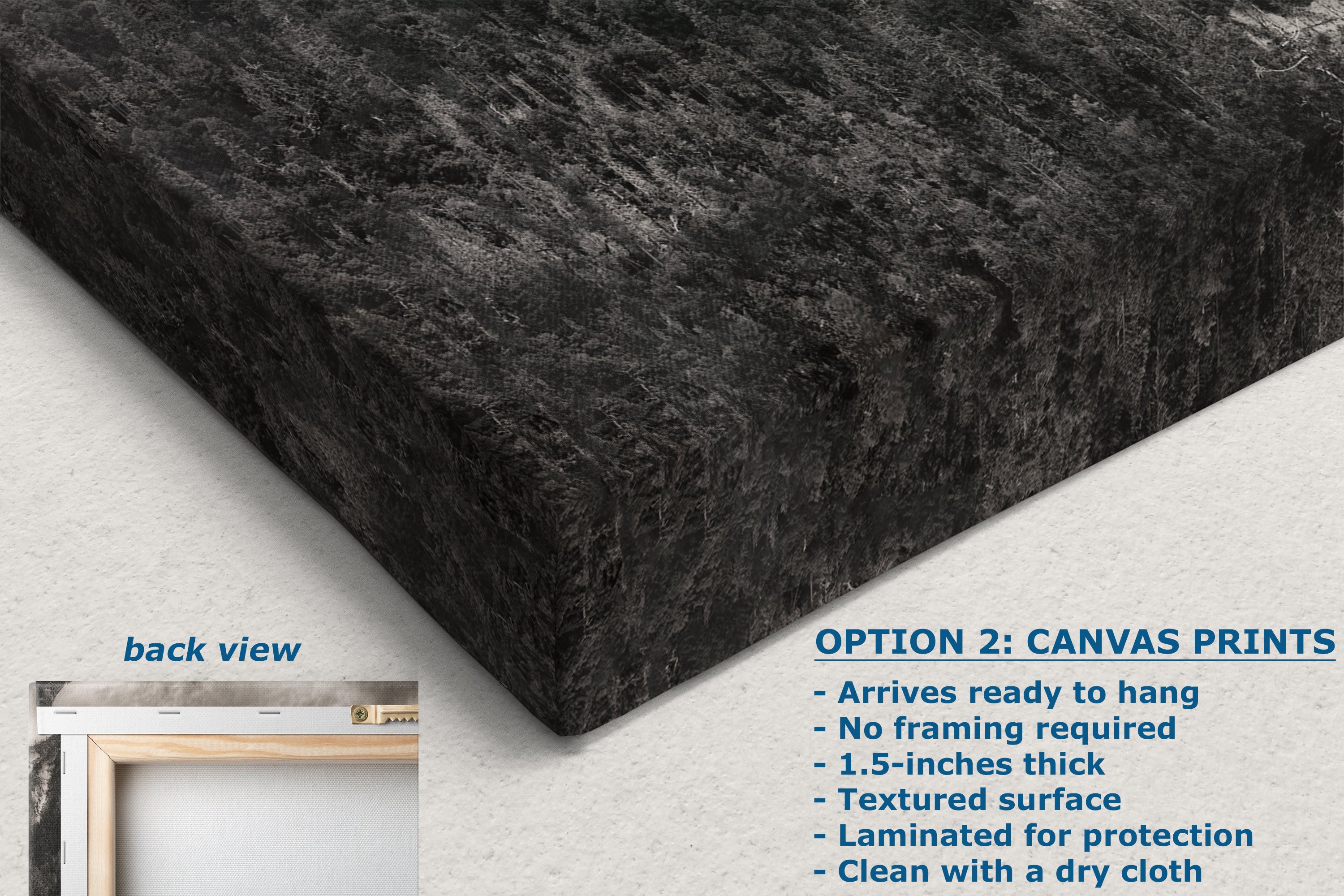 Tunnel View Yosemite National Park Mountain Picture Black and White Nature Photo Relaxation Artwork for Mediation, Office, & House Decor