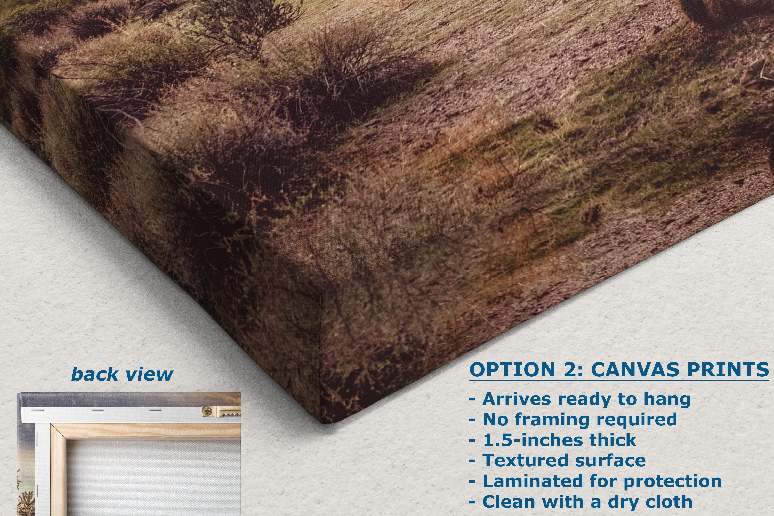 Arizona Desert Picture, Vintage Saguaro Cactus Artwork Nature Photo, Southwestern Wall Art of Superstition Mountains at Lost Dutchman State Park