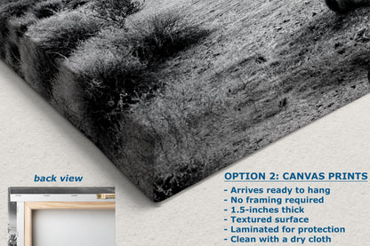 Arizona Desert Picture in Black and White, Saguaro Cactus Artwork Nature Photo, Southwestern Wall Art of Superstition Mountains at Lost Dutchman State Park