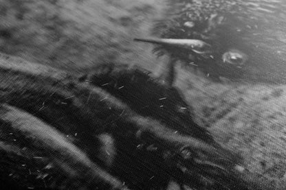 Buffalo Artwork Wildlife Photography, Black and White Bison Wall Decor, Rustic Cabin Animal Print, Nature Wall Art for Home or Office