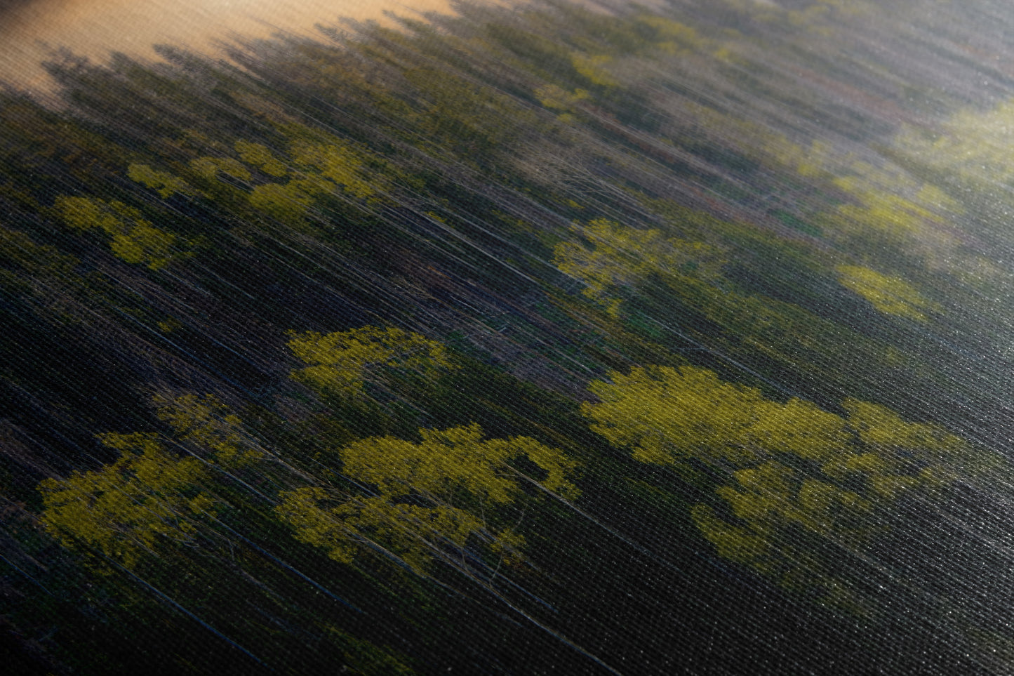 Aspen Tree Forest Picture Nature Photo, Forest Bathing Relaxation Artwork Dopamine Decor for Meditation, Bedroom, Living Room, and Office