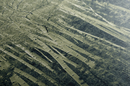 Aspen Tree Forest Picture Nature Photo, Forest Bathing Relaxation Artwork, Rustic Wall Art for Bedroom, Office, & House Decor