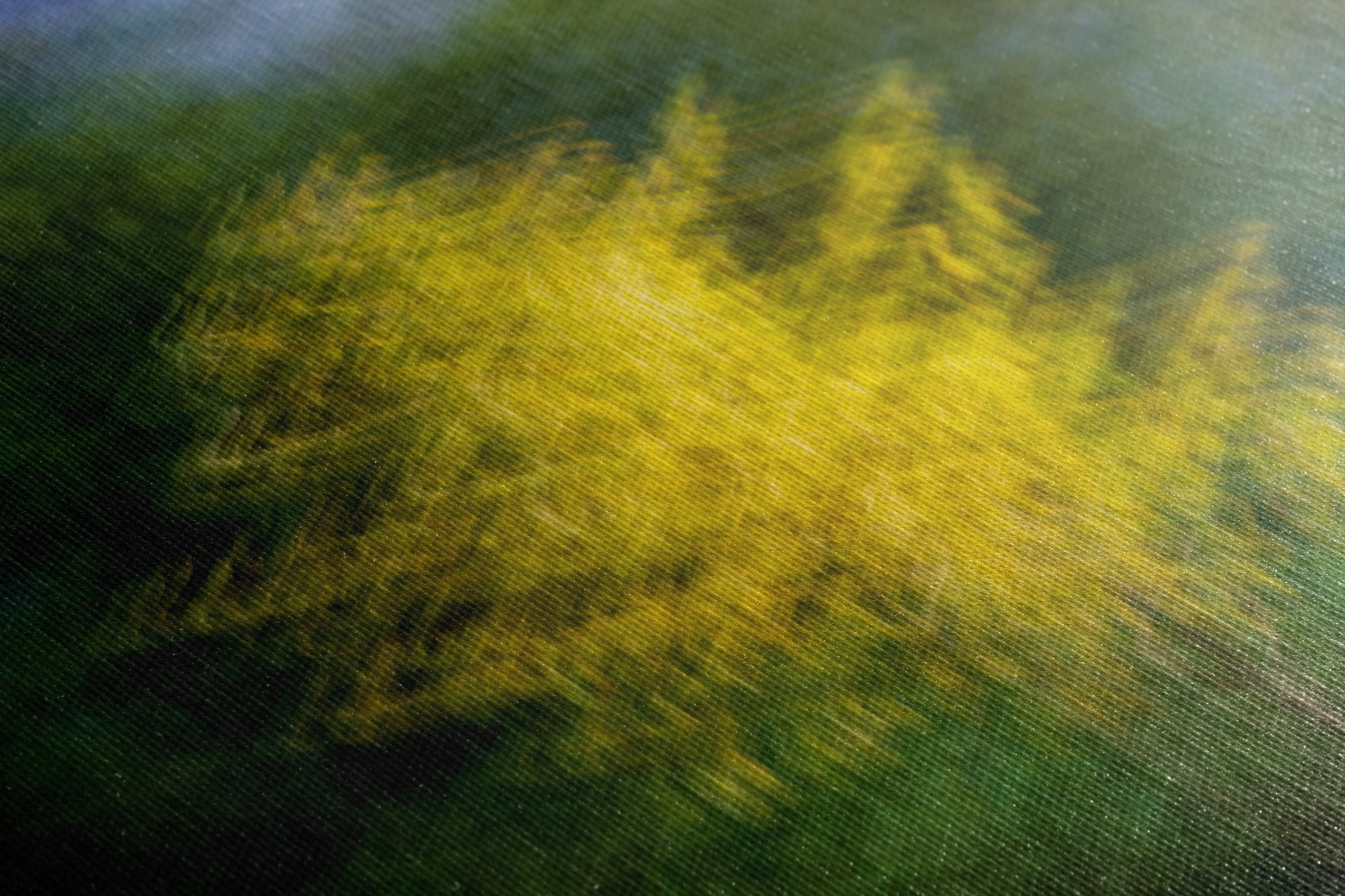 Impressionist Art Forest Picture Abstract Nature Photo, Relaxation Artwork, Forest Bathing Wall Decor, Meditation, Bohemian Style Canvas Print