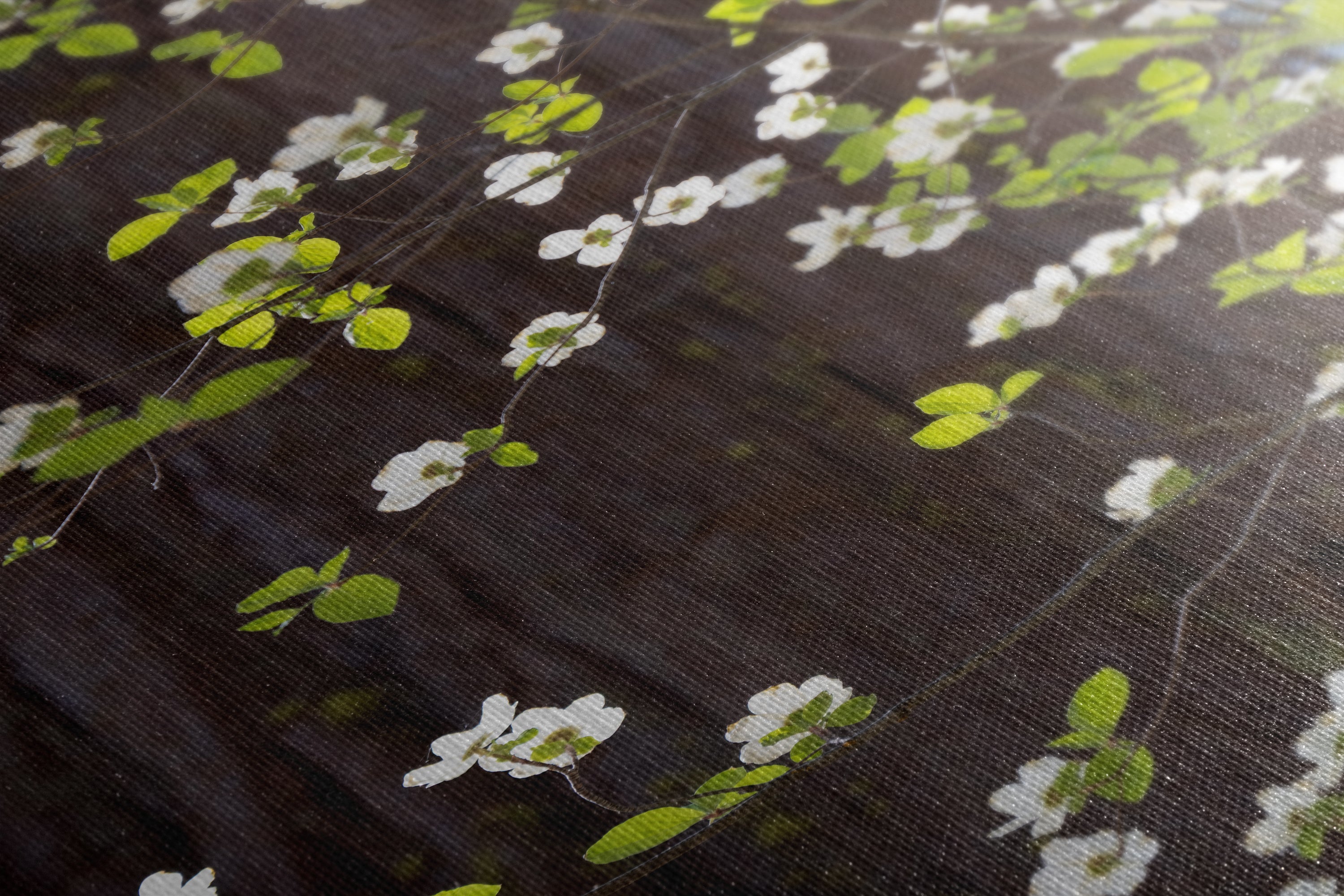 Pacific Dogwood Forest Picture Nature Photo | Yosemite Nature Canvas Print, Forest Bathing for Meditation, Relaxation, Dorm Room Decor