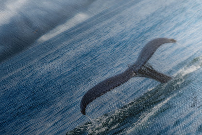 Humpback Whale Marine Mammal Wildlife Photography | Monterey Bay Ocean Scene Art Print for Nature Lovers and Marine Conservation Decor