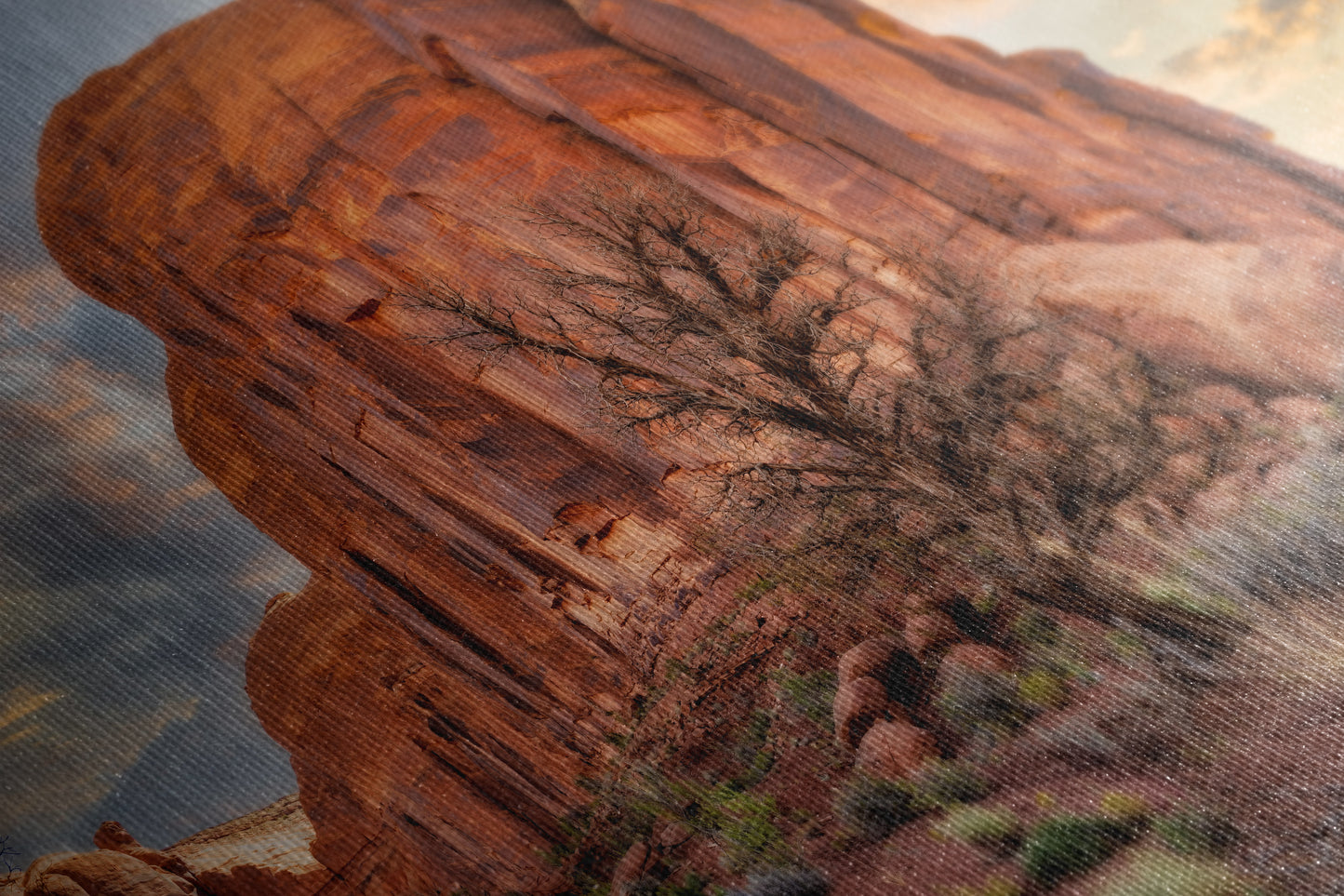 Monument Valley Arizona Desert Picture Cactus Nature Photo, Bohemian Style Relaxation Artwork for Meditation, Apartment, Office & House Decor