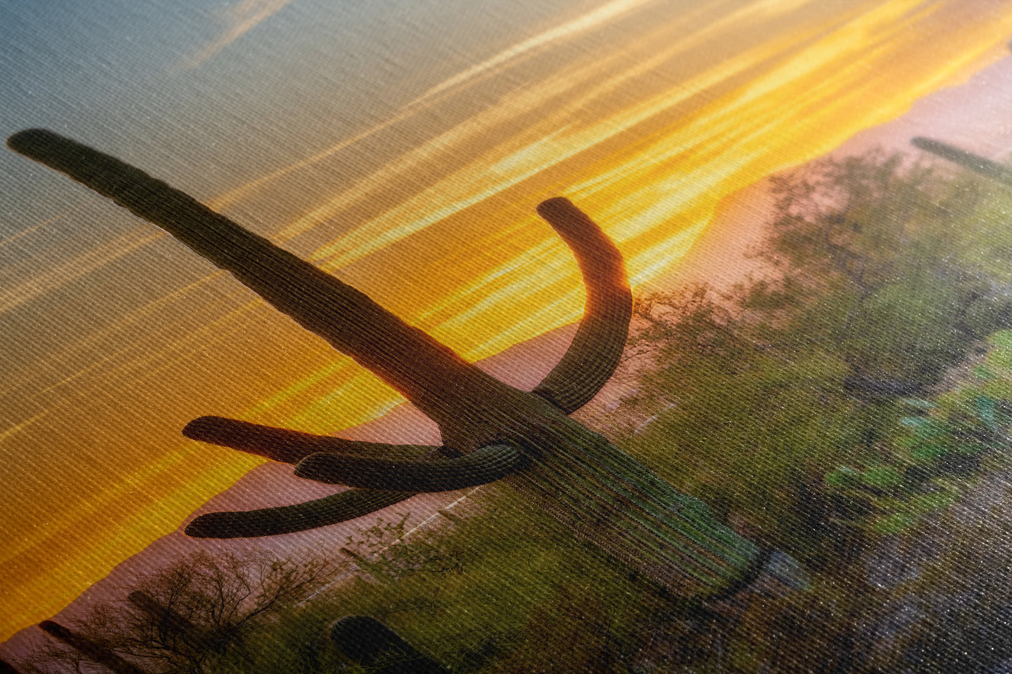 Saguaro National Park Arizona Desert Picture Nature Photo, Bohemian Style Relaxation Artwork, Southwestern Sonoran Desert House Decor