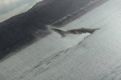 Humpback Whale Marine Mammal Wildlife Photography, Ocean Nature Art, Marine Conservation, Dolphin & Sea Life Gift, House Decor