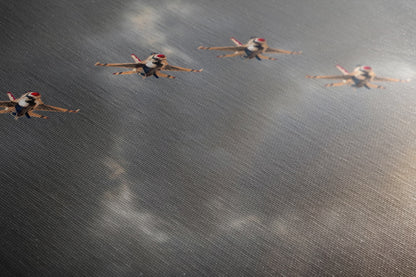 US Airforce Thunderbirds F-16 Fighting Falcon Aviation Artwork | Military Aviation Decor for Home & Office Display