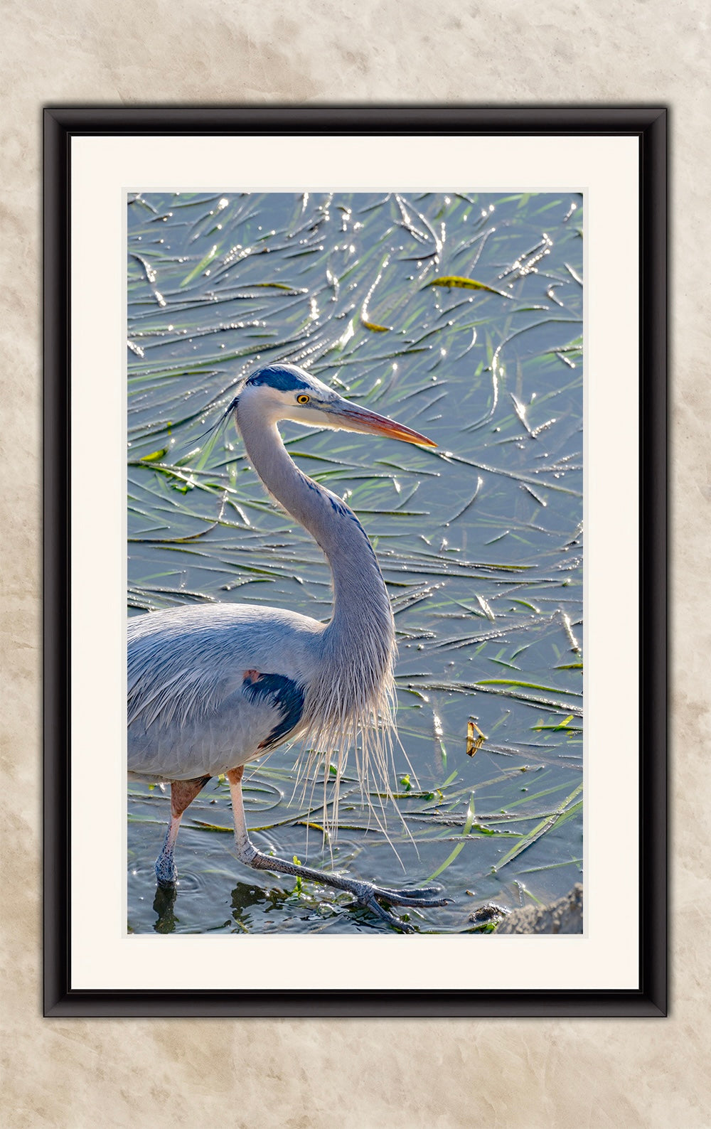 Great Blue Heron Art Wildlife Photography, Nature Wall Decor for Bird Lovers, Ocean Conservation, Relaxing Office or Room Artwork