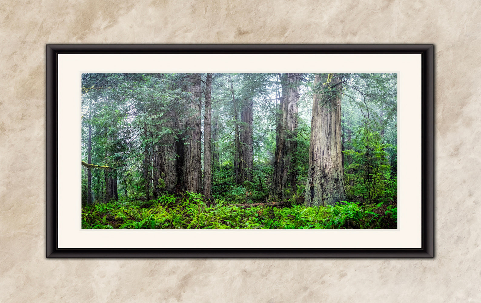 Redwood Trees Forest Picture Nature Photo, Forest Bathing in Misty California Redwoods Wall Art, for Relaxation in the Home and Office