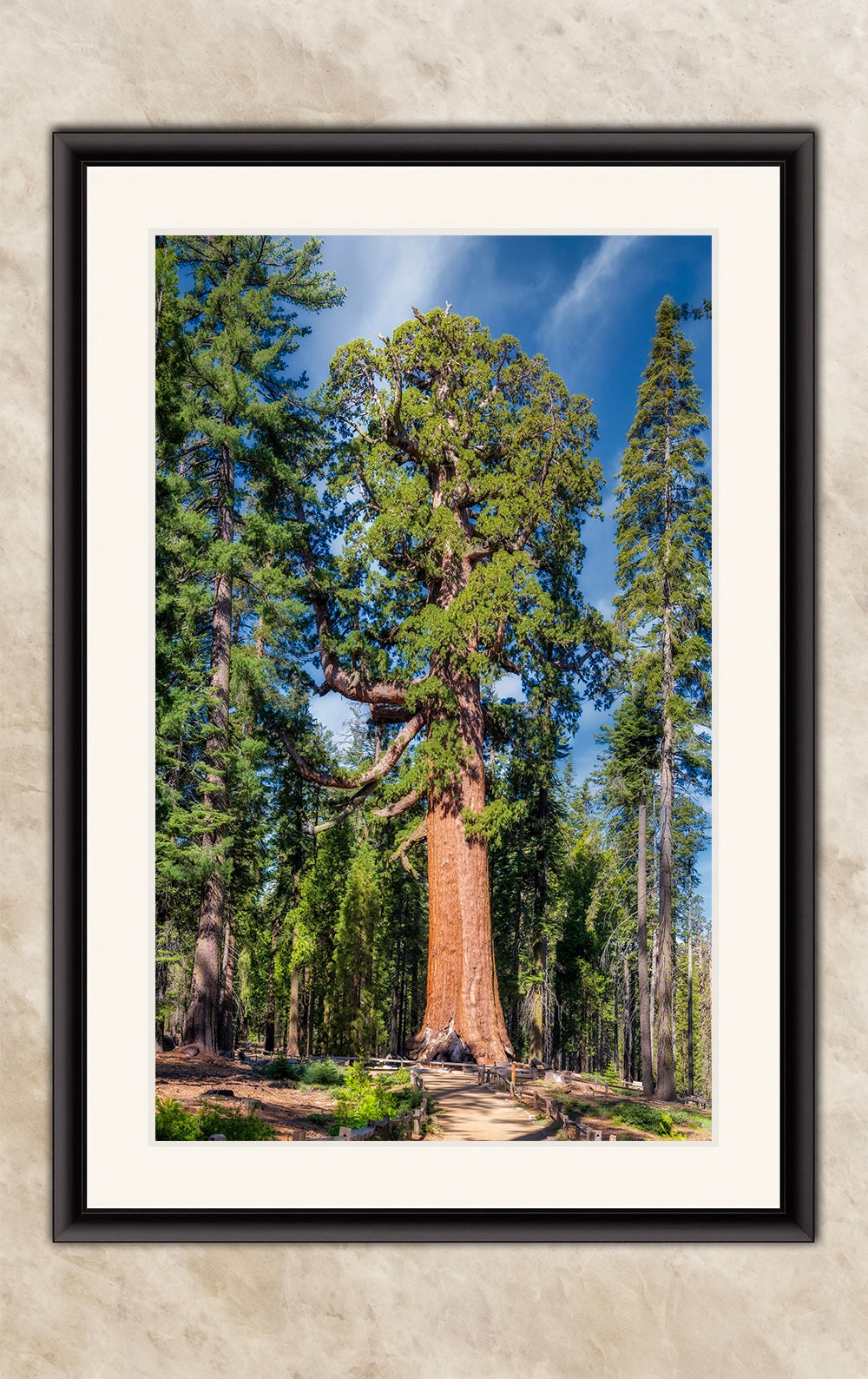Giant Sequoia Tree Forest Picture Nature Photo, Yosemite Redwood Trees, Forest Bathing for Nature Lovers, House and Office