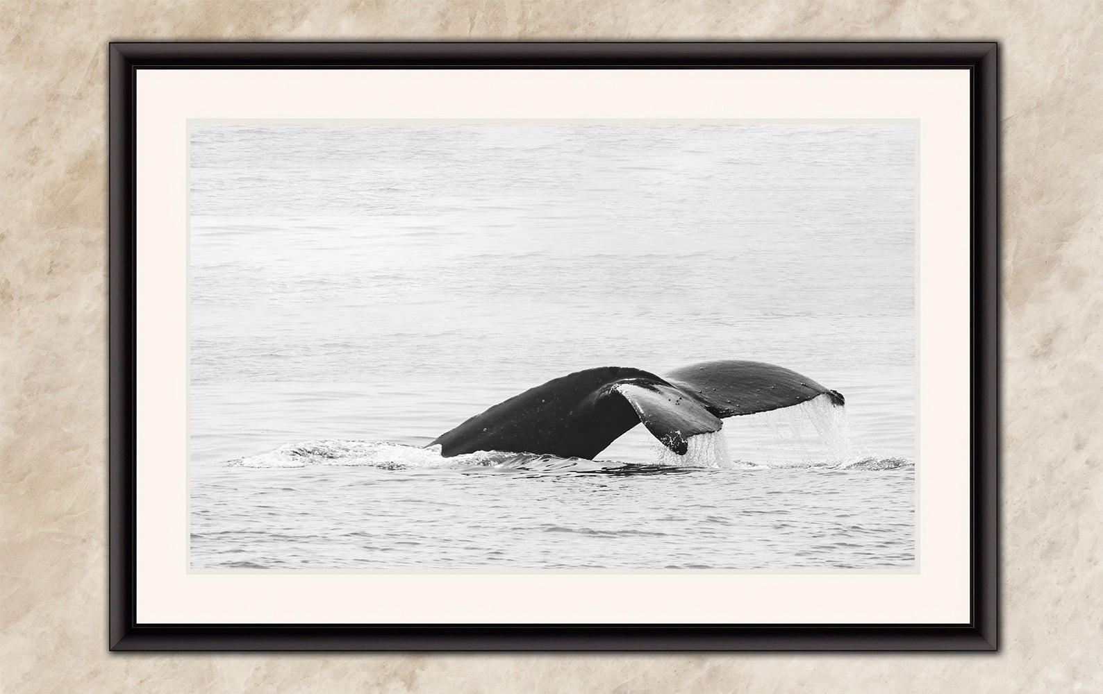 Humpback Whale Marine Mammal Wildlife Photography, Black and White, Monterey Bay Ocean Scene Art Print for Nature Lovers and Marine Conservation Decor
