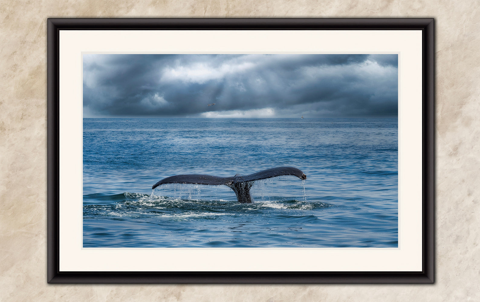 Wildlife Photography Ocean Picture Limited Edition Print Humpback Whale Fluke