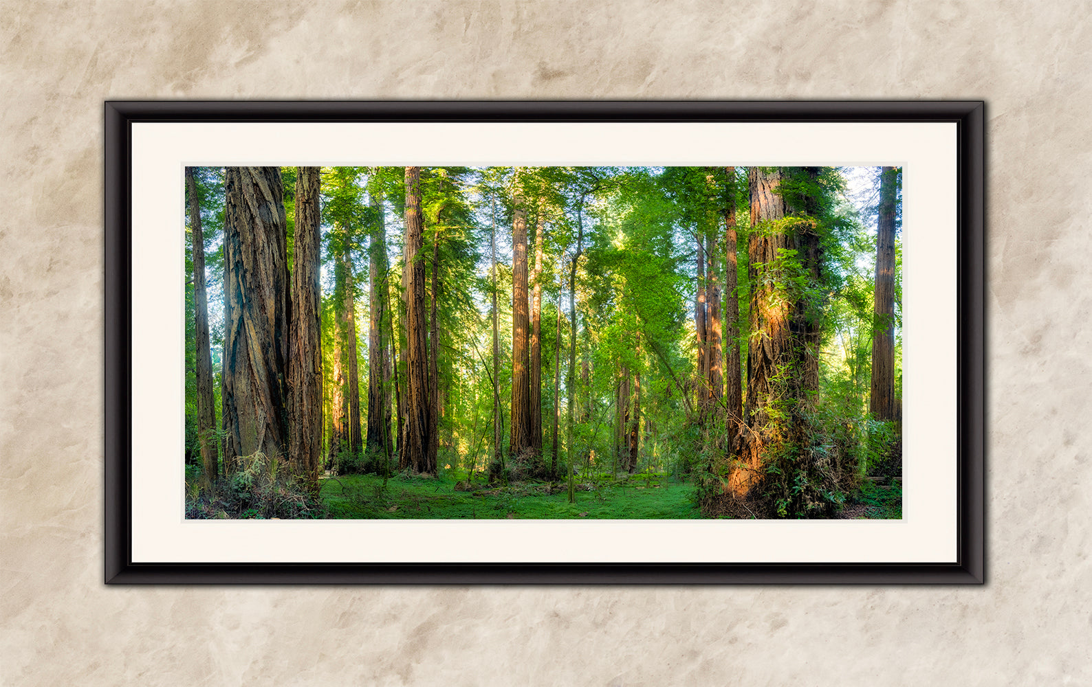 Redwood Trees Forest Picture Nature Photo, Forest Bathing Relaxation Artwork for Calming Meditation, Office and House Decor