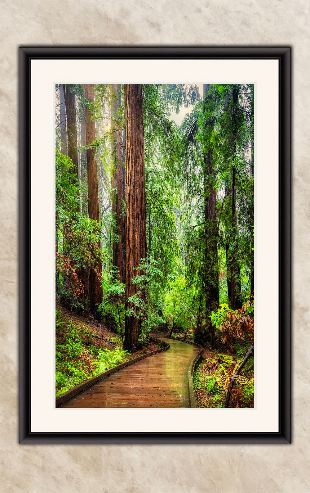 Redwood Trees Forest Picture Sunrise Nature Photo, Forest Bathing House Decor, Relaxing Wall Art for Meditation, Home and Office