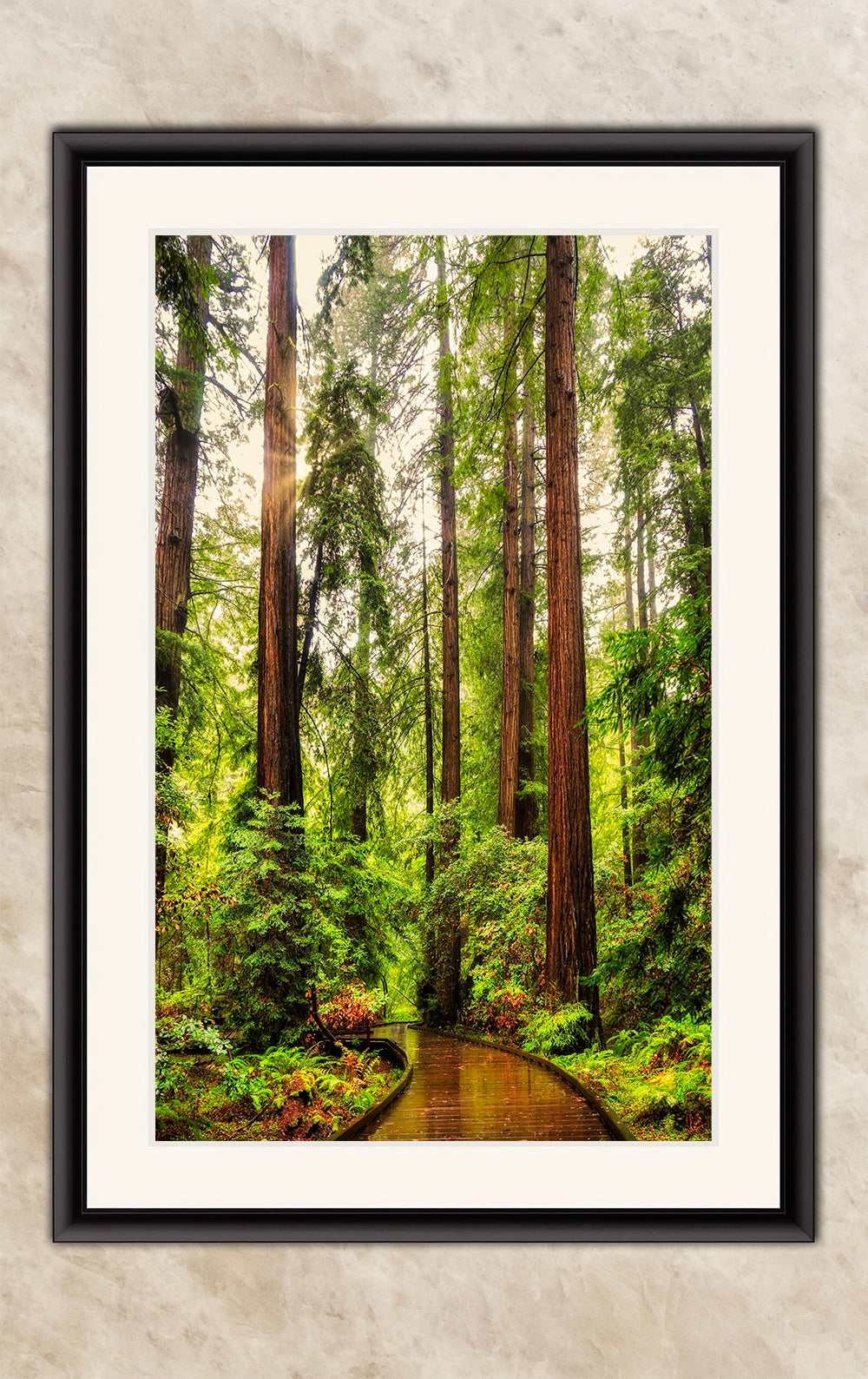 Redwood Trees Forest Picture Nature Photo, Forest Bathing House Decor