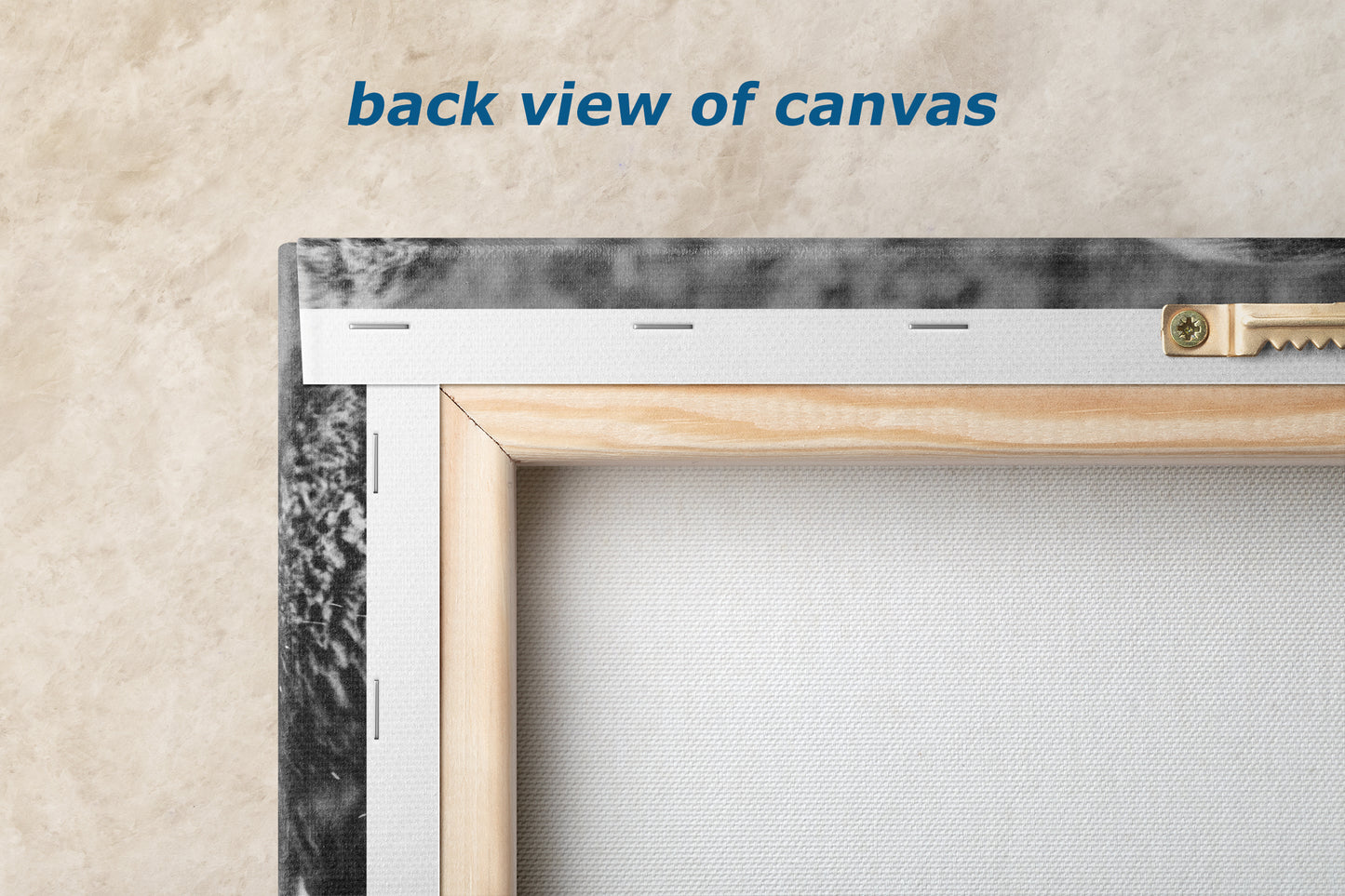 Buffalo Artwork Wildlife Photography, Black and White Bison Wall Decor, Rustic Cabin Animal Print, Nature Wall Art for Home or Office