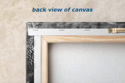 Buffalo Artwork Wildlife Photography, Black and White Bison Wall Decor, Rustic Cabin Animal Print, Nature Wall Art for Home or Office