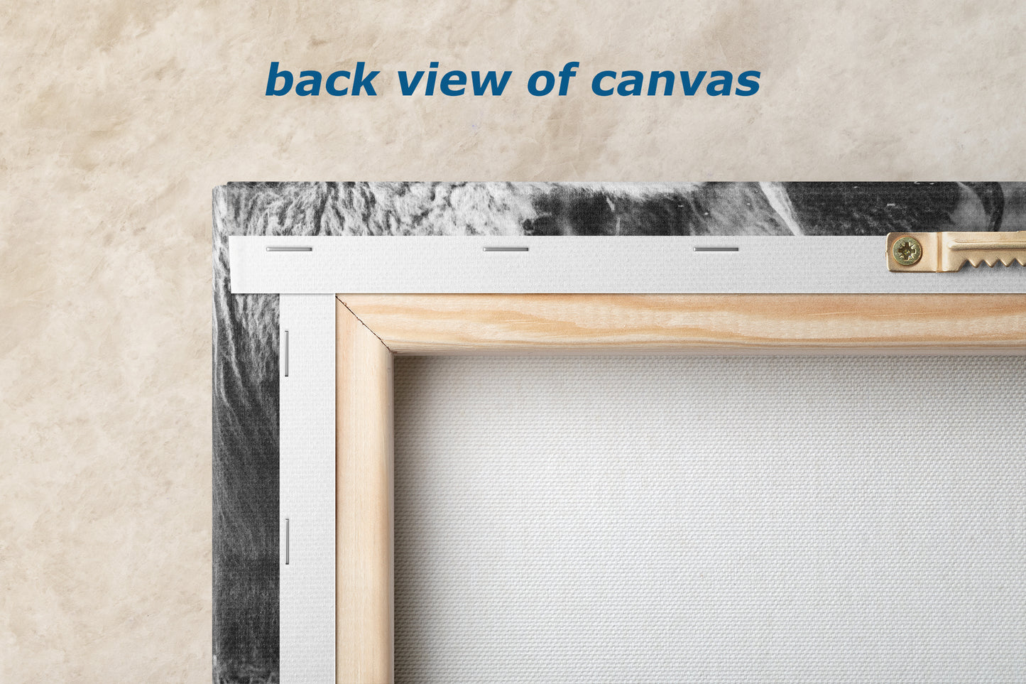 Grazing Buffalo Artwork Wildlife Photography, Black and White Bison Wall Decor, Rustic Cabin Animal Print, Nature Wall Art for Home or Office