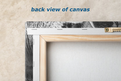 Grazing Buffalo Artwork Wildlife Photography, Black and White Bison Wall Decor, Rustic Cabin Animal Print, Nature Wall Art for Home or Office