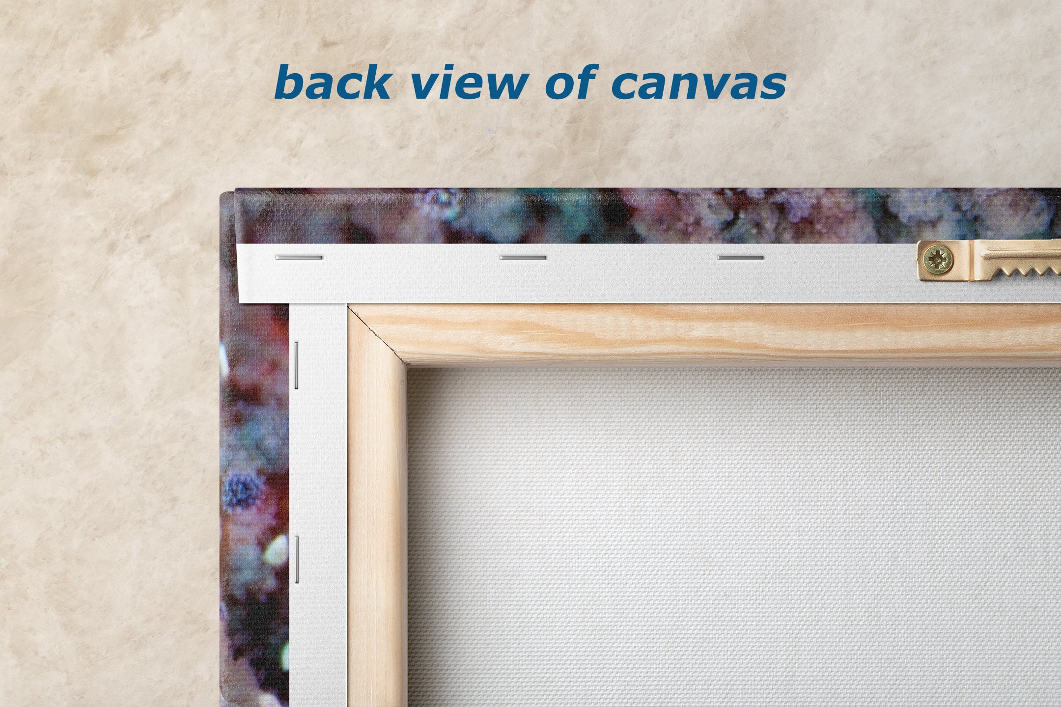 Ocean Life Starfish Photo, Marine Biology Underwater Scenery, Vibrant Coral Reef, Nature Photography for Office Decor, Relaxation Artwork