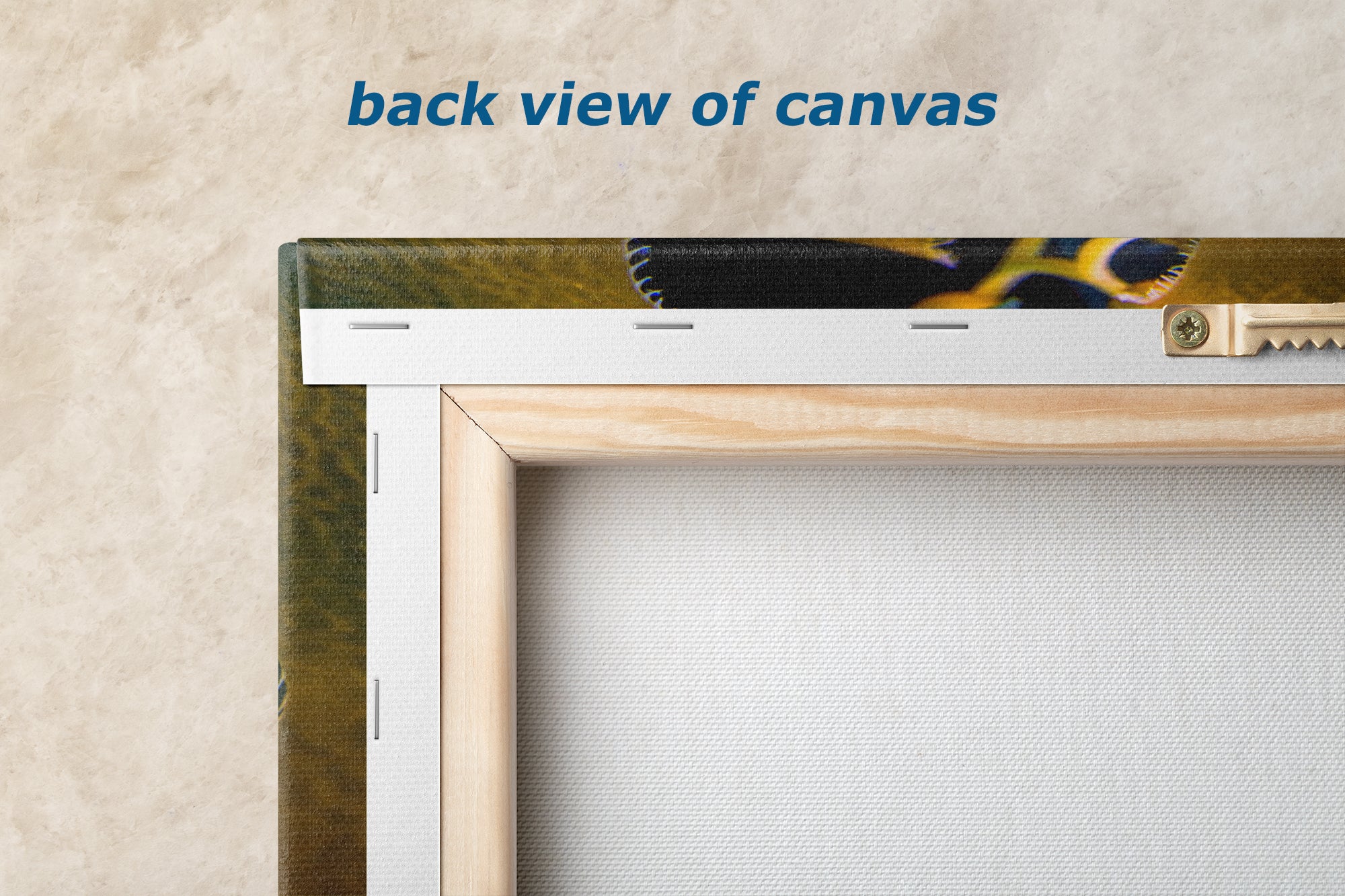 Kelp Forest Seaweed Pictures Underwater Scenery, Ocean Life Marine Life Decor, Nature Photo, Under the Sea Wall Art, Marine Biology Gift