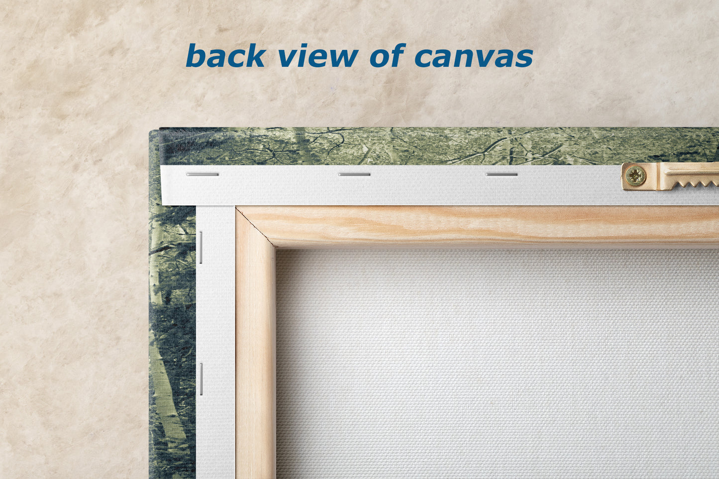 Aspen Tree Forest Picture Nature Photo, Forest Bathing Relaxation Artwork, Rustic Wall Art for Bedroom, Office, & House Decor