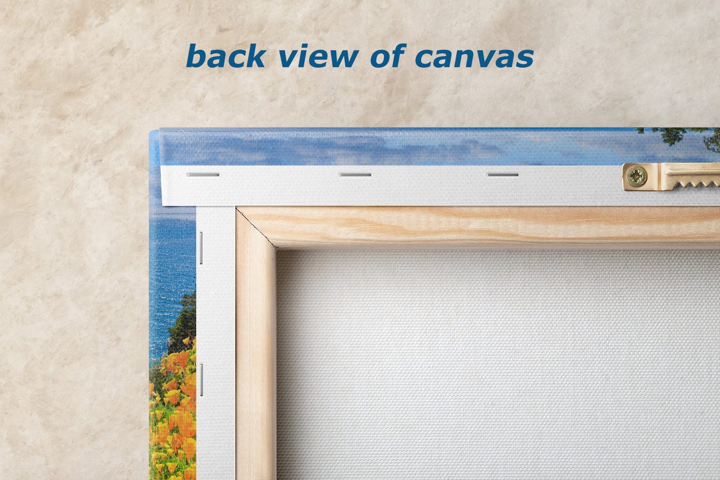 McWay Falls Wall Art Ocean Picture, Big Sur California Coastline Nature Photo