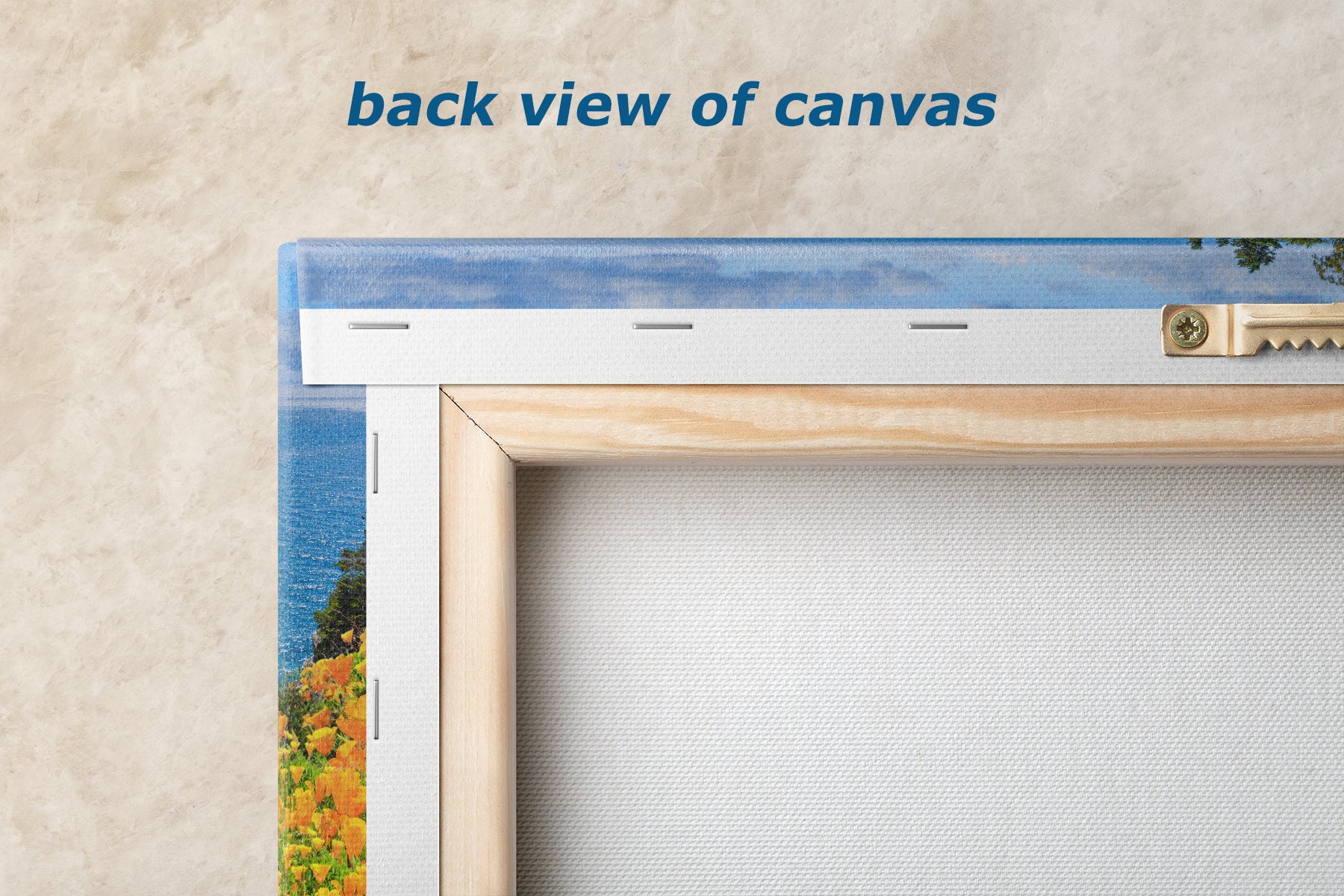 McWay Falls Wall Art Ocean Picture, Big Sur California Coastline Nature Photo