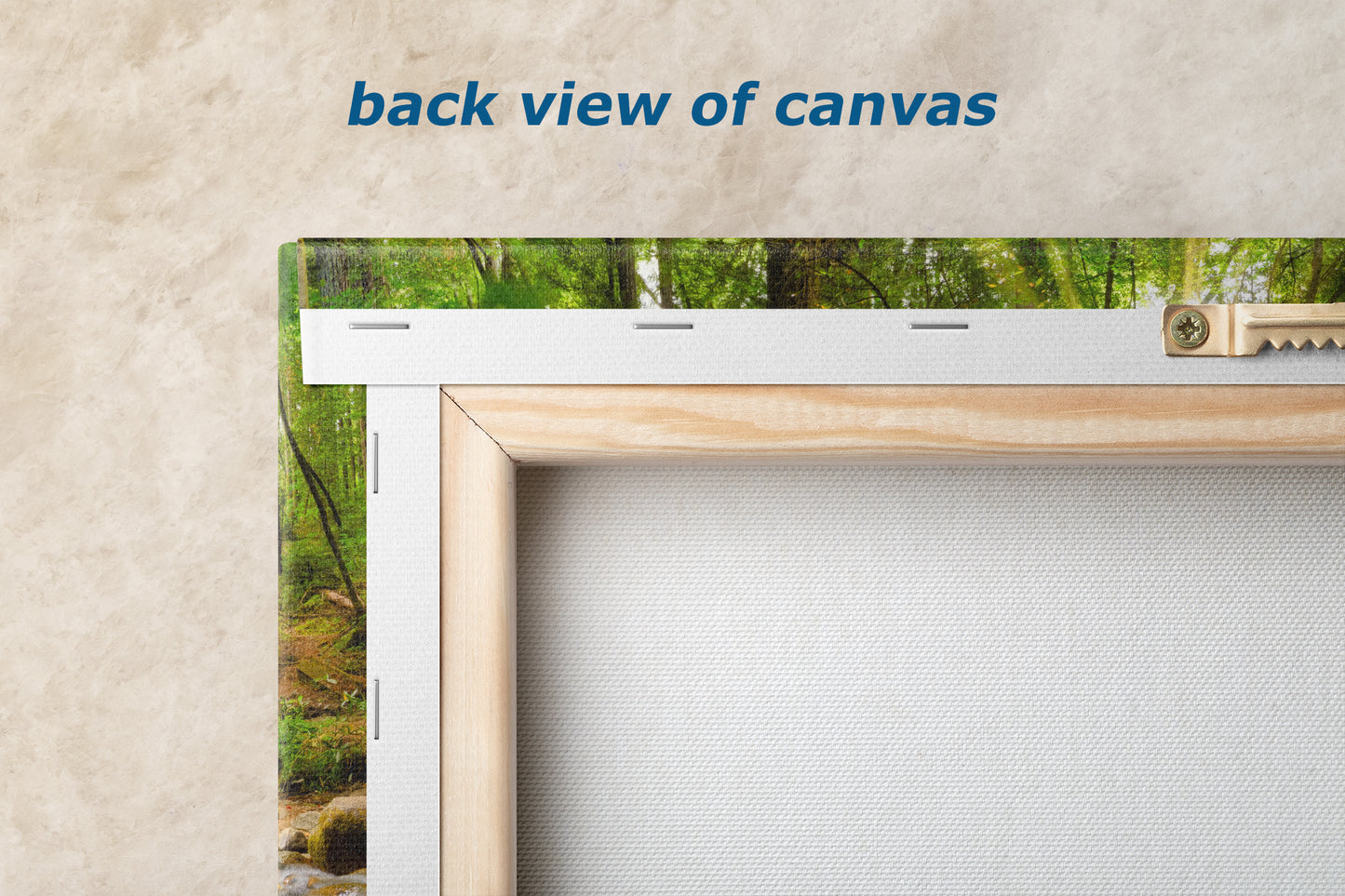 Redwood Trees Forest Picture Nature Photo, Forest Bathing in Santa Cruz California Coast Wall Art, Relaxing Artwork for House Decor & Office