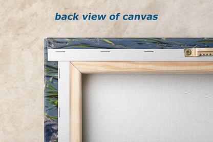 Sea Otter Picture Marine Mammal Wildlife Photography, Relaxing Nature Art Print, Ocean Scene, Dorm Room Decor, Animal Photography