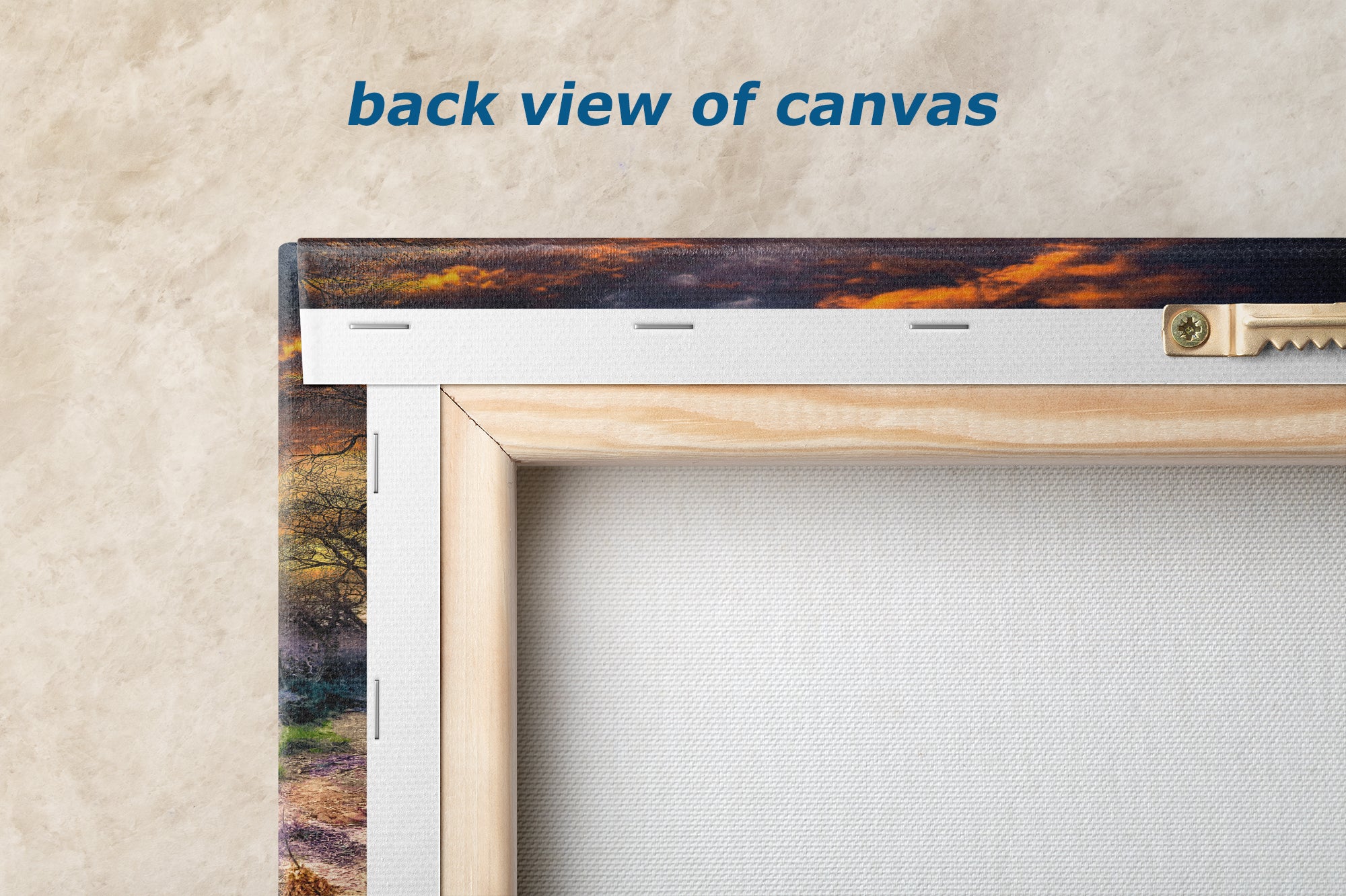 Zion National Park, Watchman, Southern Utah Desert Picture, Southwestern Wall Art, Relaxation Artwork Nature Photo for House Decor