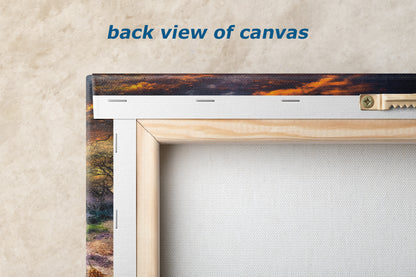 Zion National Park, Watchman, Southern Utah Desert Picture, Southwestern Wall Art, Relaxation Artwork Nature Photo for House Decor