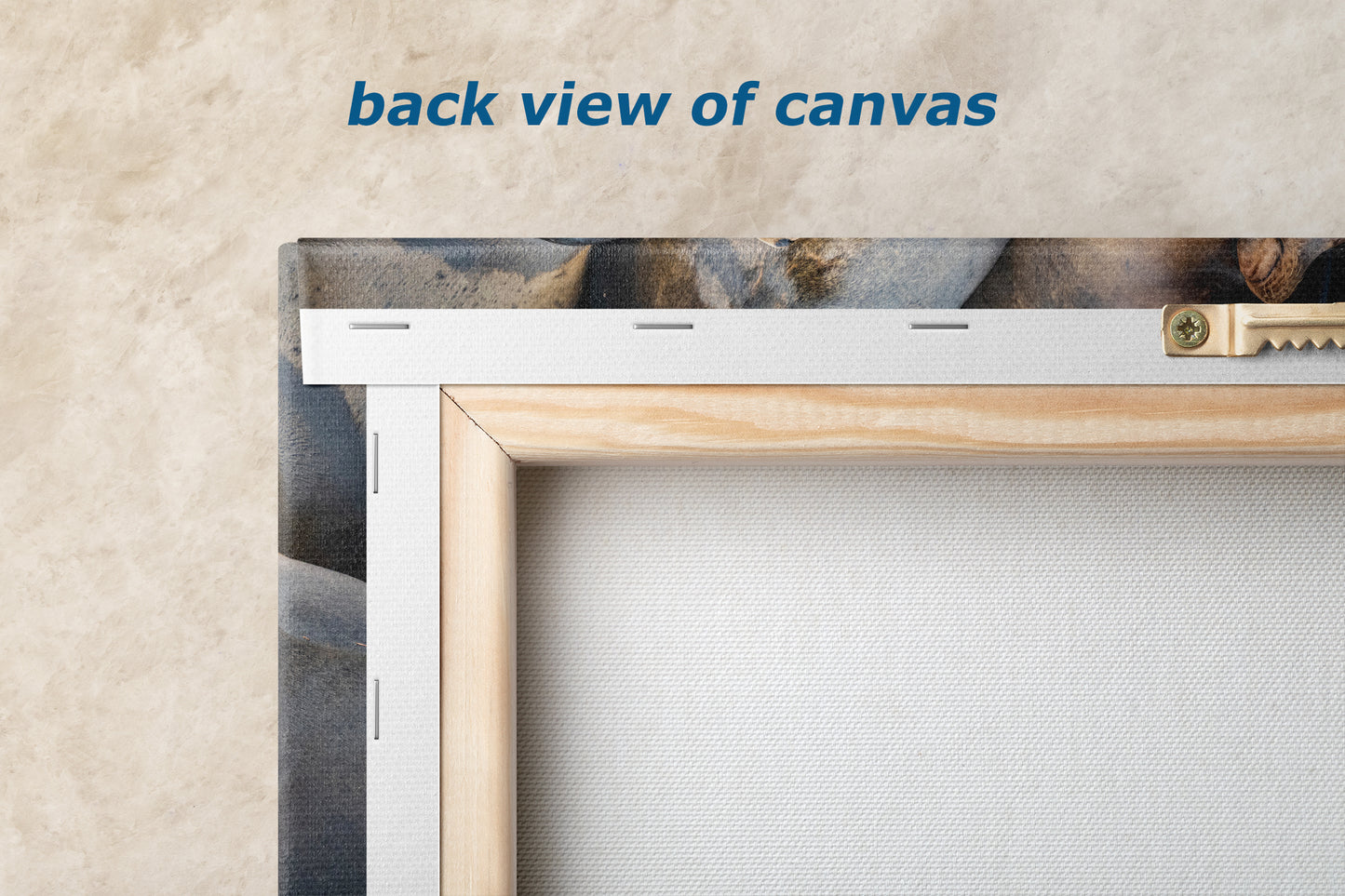 California Sea Lion Marine Mammal Wildlife Photography, Ocean Animals Nursery Decor, Relaxation Artwork for Beach-Themed Rooms