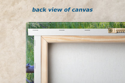 Steller Jay Wildlife Photography Print, Bird Wall Art, Nature Photography, Blue Bird Picture, Relaxing Dorm Room or Office Wall Art