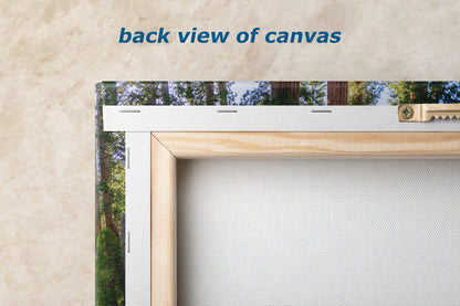 Giant Sequoia Tree Forest Picture Nature Photo | Yosemite Redwood Trees for Nature Lovers & Forest Bathing Relaxation, Meditation Artwork