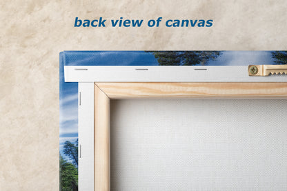 Giant Sequoia Tree Forest Picture Nature Photo, Redwood Trees Forest Bathing Decor, Relaxation Artwork for Home or Office