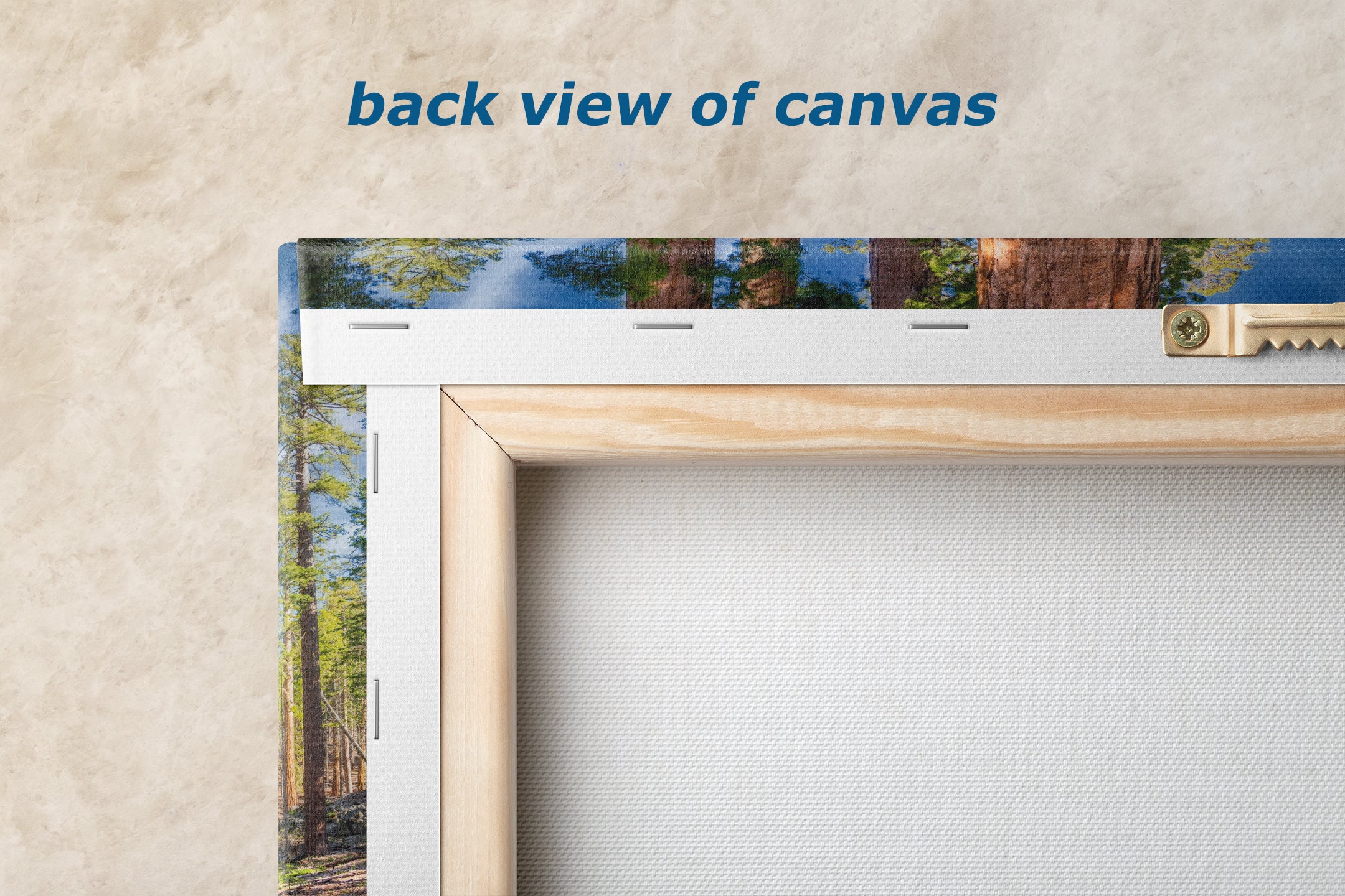 Giant Sequoia Tree Forest Picture Nature Photo, Redwood Trees Forest Bathing for Relaxation and Meditation in Living Room and Office