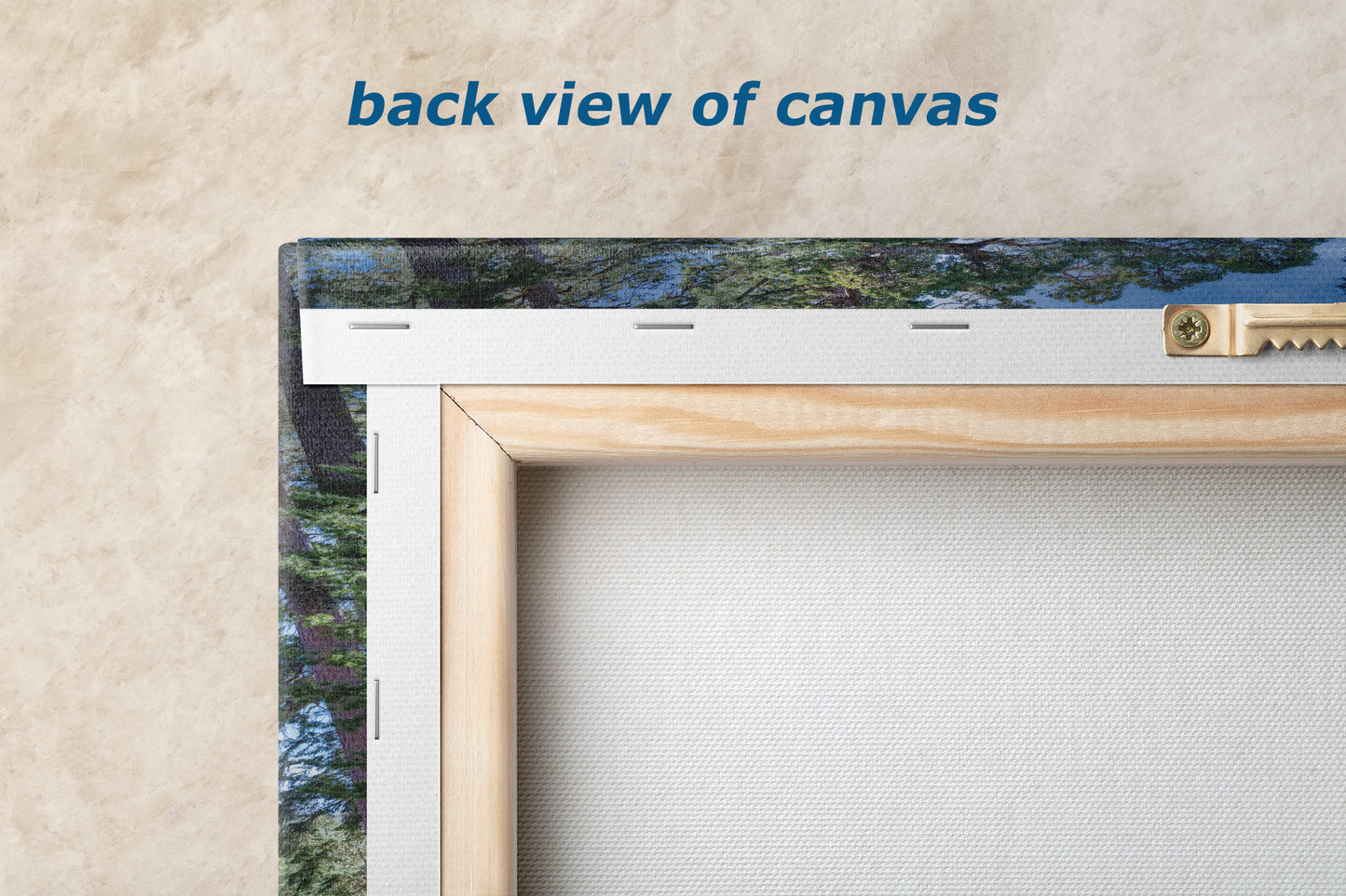 Giant Sequoia Tree Forest Picture Nature Photo, Yosemite Redwood Trees, Mariposa Grove Tree Hugger Decor, Forest Bathing for Relaxation