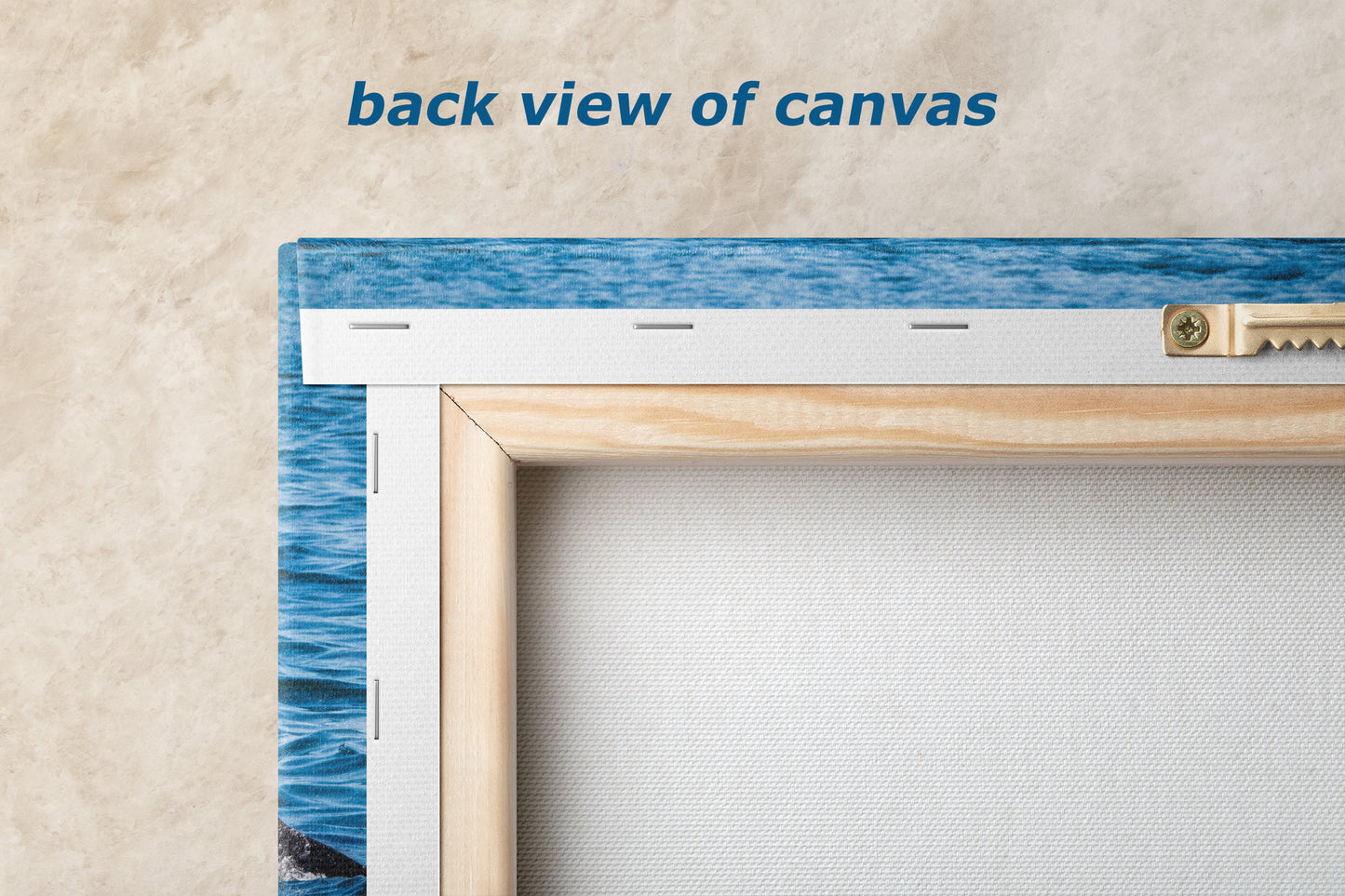 Orca Whale Marine Mammal Wildlife Photography, Killer Whale Ocean Art Print for Nature Lovers and Ocean Enthusiasts