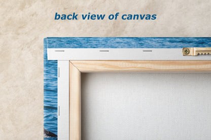 Orca Whale Marine Mammal Wildlife Photography, Killer Whale Ocean Art Print for Nature Lovers and Ocean Enthusiasts