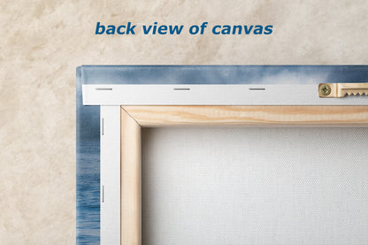 Humpback Whale Marine Mammal Wildlife Photography | Monterey Bay Ocean Scene Art Print for Nature Lovers and Marine Conservation Decor